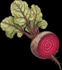 Beets
